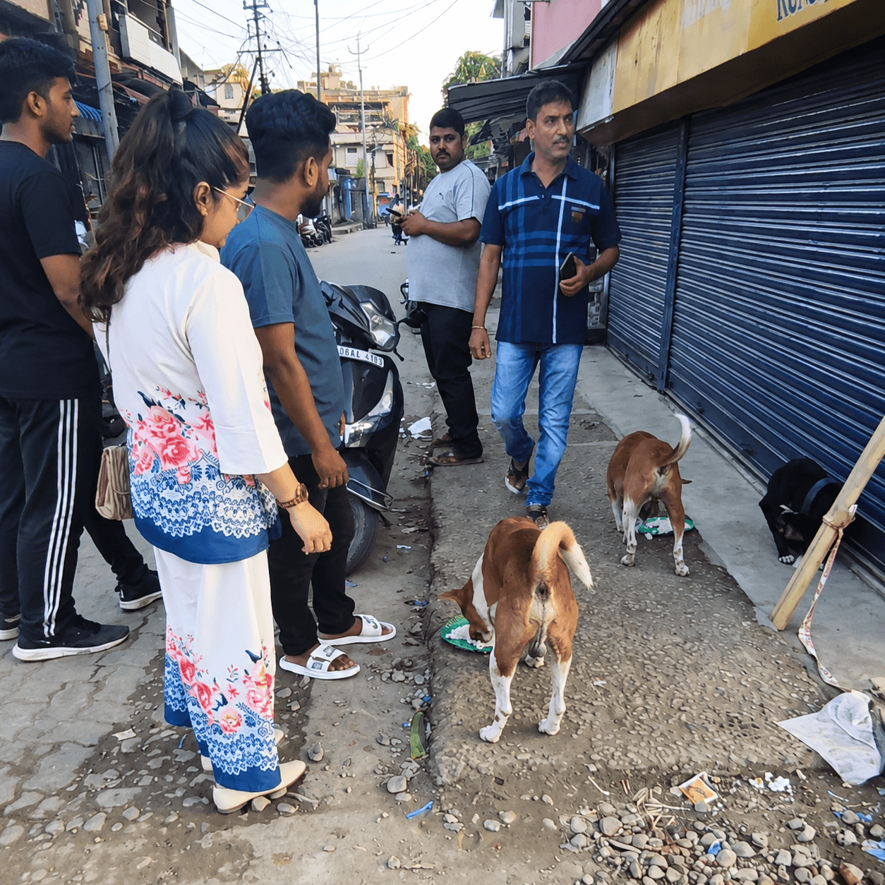 Support for animals in need.